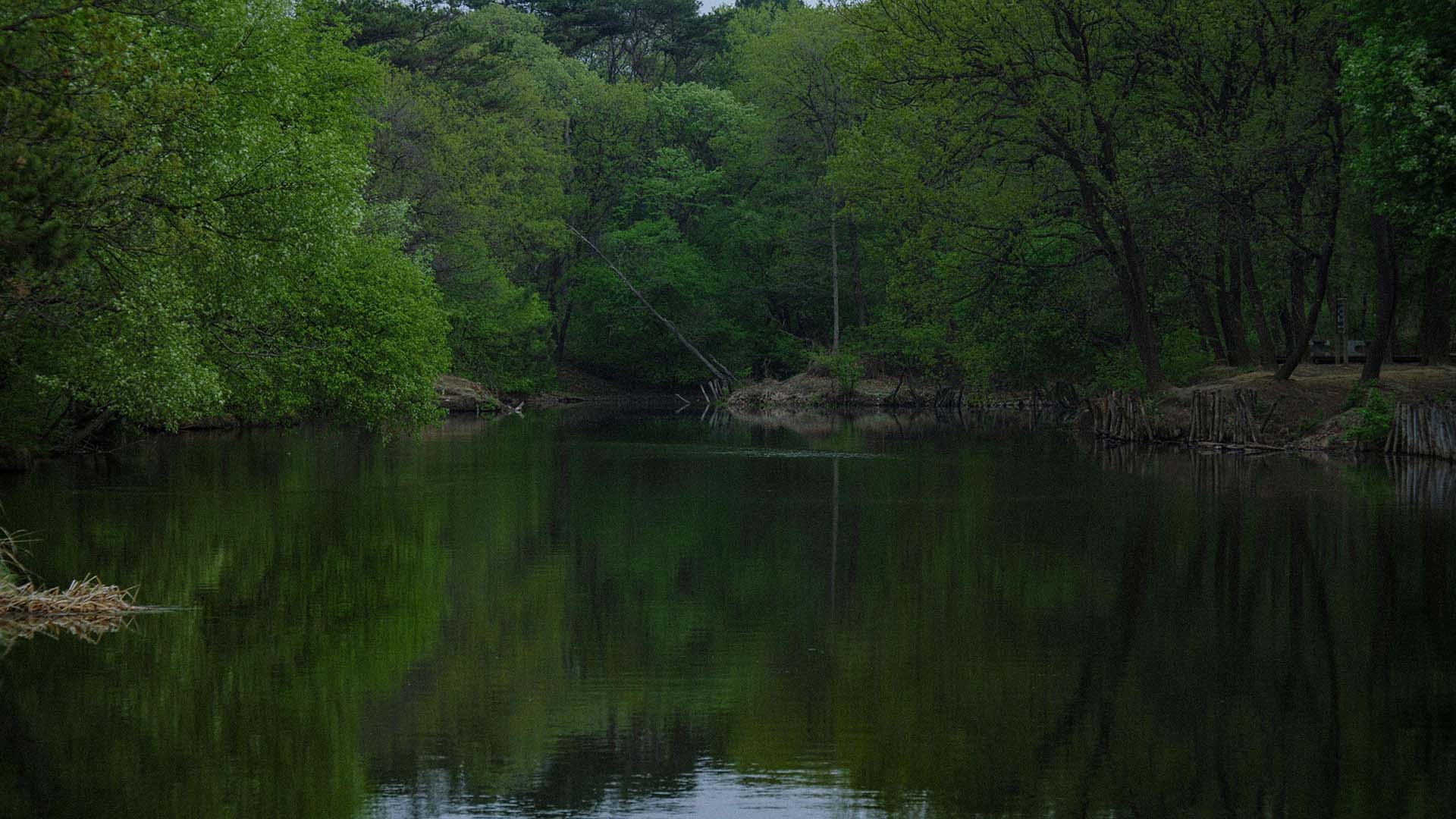Distant